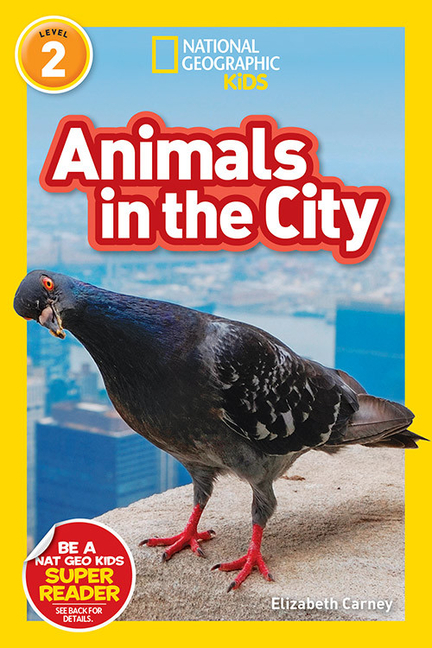 Animals in the City (National Geographic Kids: Level 2)