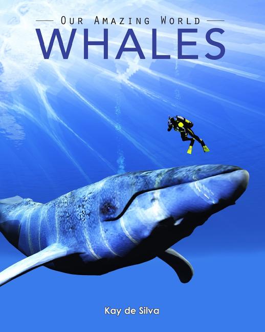 Whales (Our Amazing World)